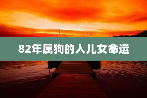 82年属狗的人儿女命运