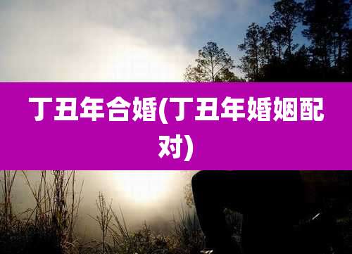 丁丑年合婚(丁丑年婚姻配对)
