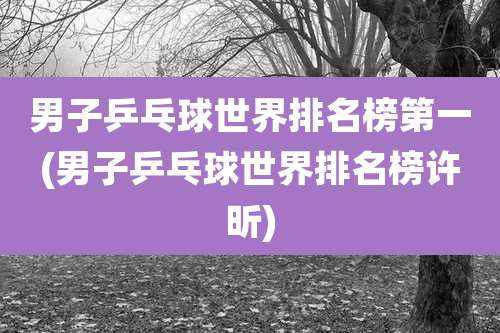 男子乒乓球世界排名榜第一(男子乒乓球世界排名榜许昕)