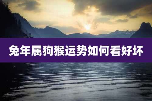 兔年属狗猴运势如何看好坏