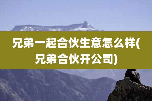 兄弟一起合伙生意怎么样(兄弟合伙开公司)