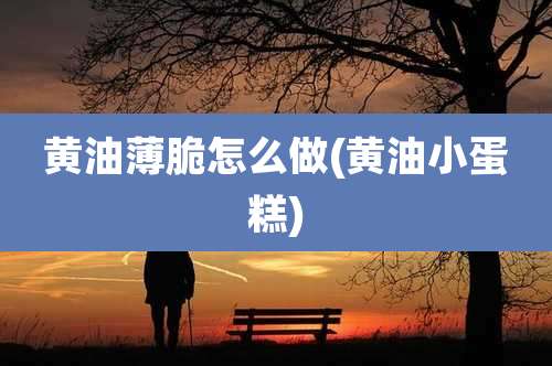 黄油薄脆怎么做(黄油小蛋糕)