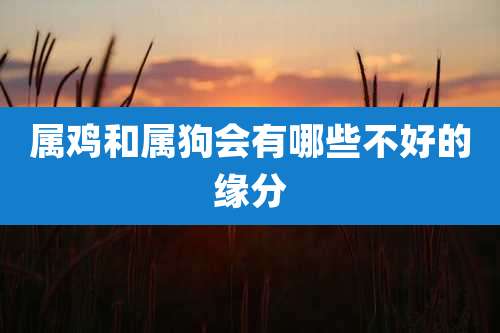 属鸡和属狗会有哪些不好的缘分