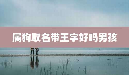 属狗取名带王字好吗男孩