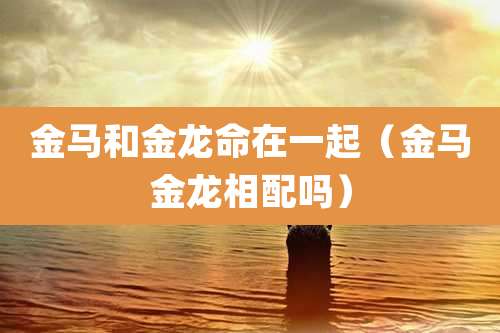 金马和金龙命在一起（金马金龙相配吗）