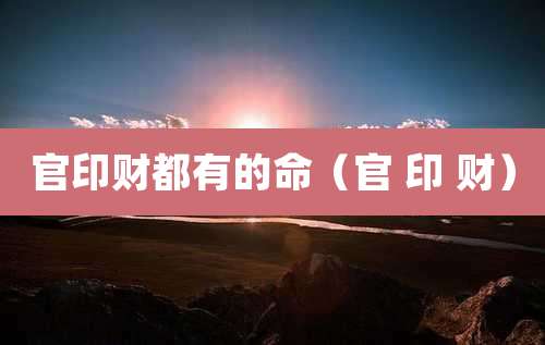 官印财都有的命（官 印 财）