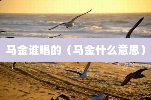 马金谁唱的（马金什么意思）