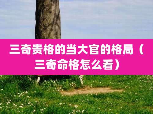 三奇贵格的当大官的格局（三奇命格怎么看）