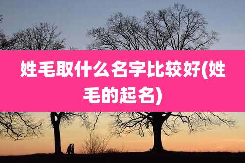 姓毛取什么名字比较好(姓毛的起名)