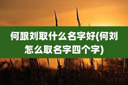 何跟刘取什么名字好(何刘怎么取名字四个字)