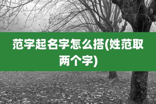 范字起名字怎么搭(姓范取两个字)