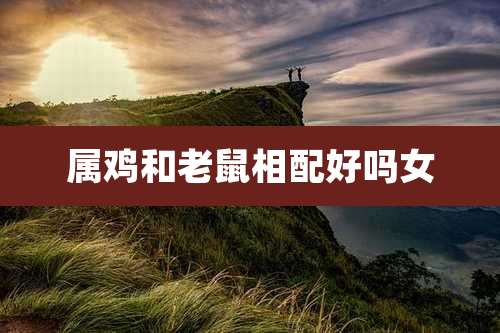 属鸡和老鼠相配好吗女