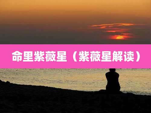命里紫薇星（紫薇星解读）
