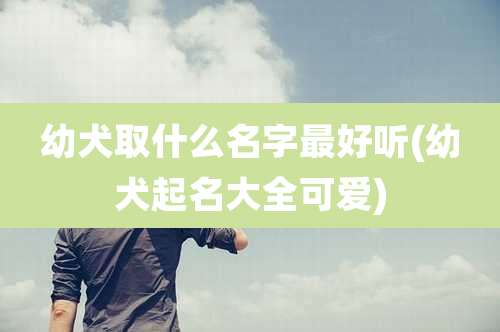 幼犬取什么名字最好听(幼犬起名大全可爱)