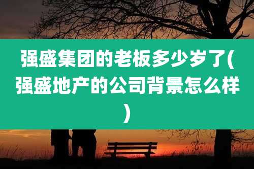 强盛集团的老板多少岁了(强盛地产的公司背景怎么样)