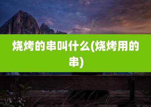 烧烤的串叫什么(烧烤用的串)