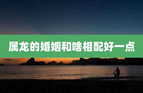 属龙的婚姻和啥相配好一点