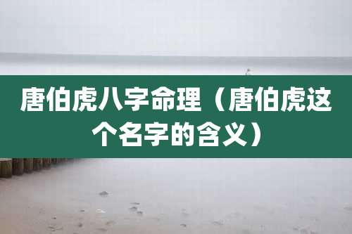 唐伯虎八字命理（唐伯虎这个名字的含义）