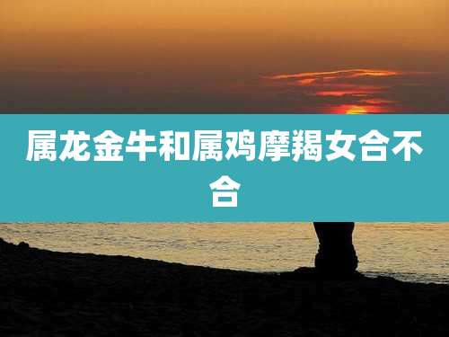 属龙金牛和属鸡摩羯女合不合