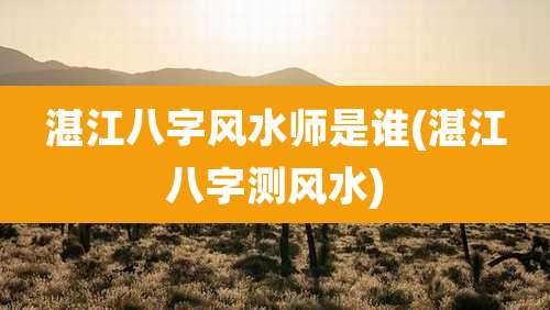 湛江八字风水师是谁(湛江八字测风水)