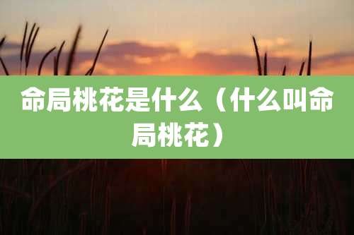 命局桃花是什么(什么叫命局桃花)