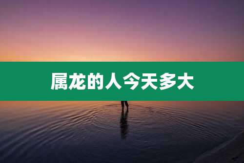 属龙的人今天多大