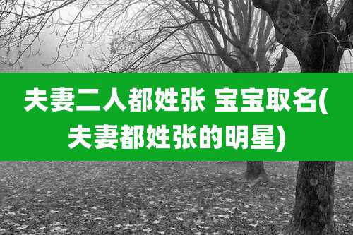 夫妻二人都姓张 宝宝取名(夫妻都姓张的明星)