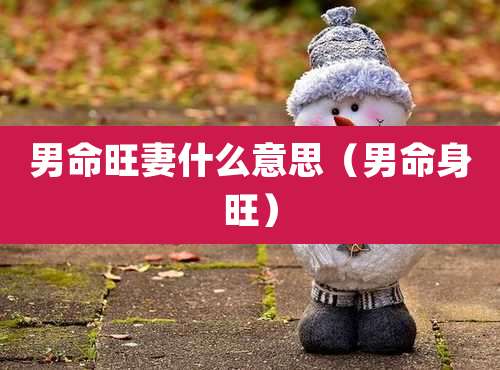 男命旺妻什么意思（男命身旺）