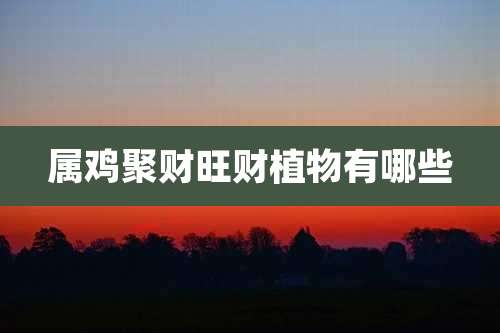 属鸡聚财旺财植物有哪些