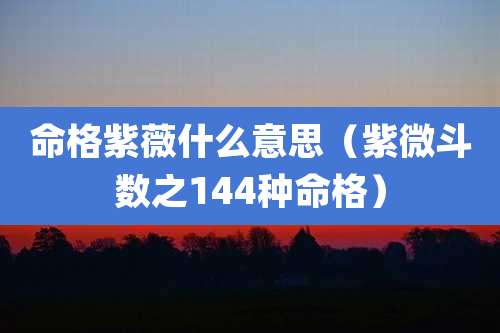 命格紫薇什么意思（紫微斗数之144种命格）