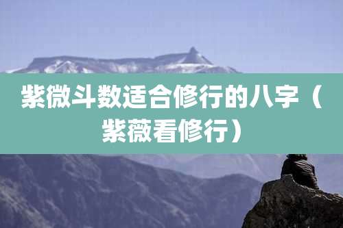 紫微斗数适合修行的八字（紫薇看修行）