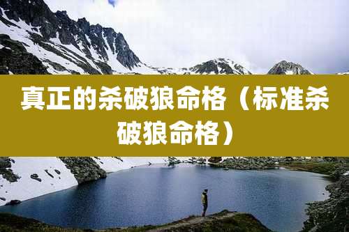 真正的杀破狼命格（标准杀破狼命格）