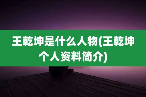 王乾坤是什么人物(王乾坤个人资料简介)