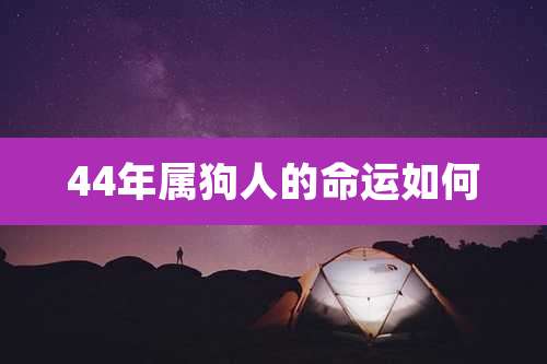44年属狗人的命运如何