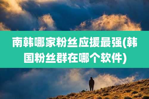 南韩哪家粉丝应援最强(韩国粉丝群在哪个软件)
