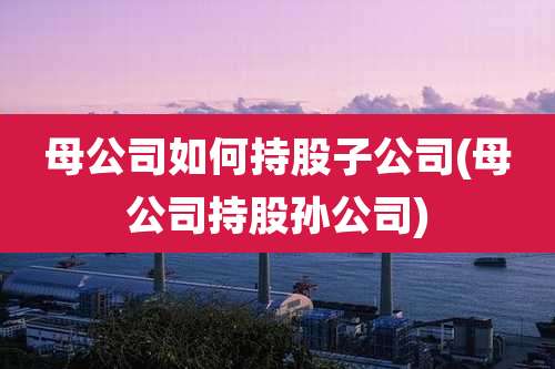 母公司如何持股子公司(母公司持股孙公司)