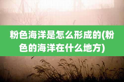 粉色海洋是怎么形成的(粉色的海洋在什么地方)