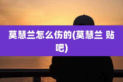 莫慧兰怎么伤的(莫慧兰 贴吧)