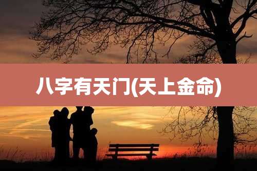 八字有天门(天上金命)
