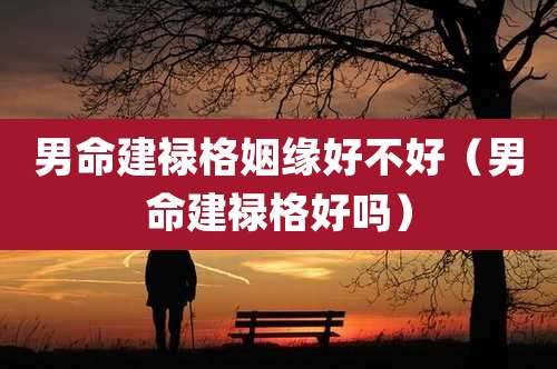 男命建禄格姻缘好不好（男命建禄格好吗）