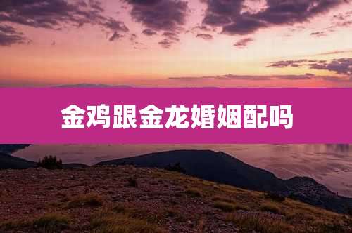 金鸡跟金龙婚姻配吗