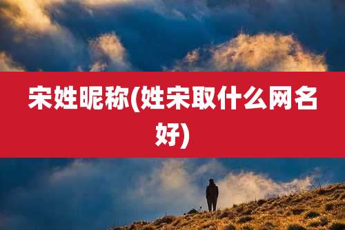 宋姓昵称(姓宋取什么网名好)