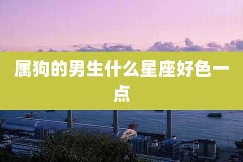 属狗的男生什么星座好色一点