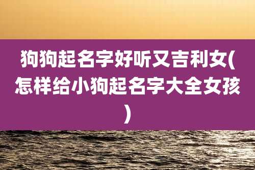 狗狗起名字好听又吉利女(怎样给小狗起名字大全女孩)