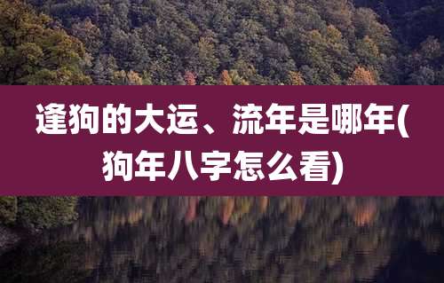逢狗的大运、流年是哪年(狗年八字怎么看)