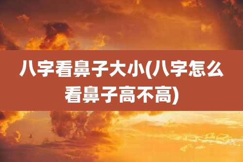 八字看鼻子大小(八字怎么看鼻子高不高)