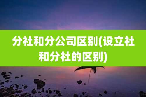 分社和分公司区别(设立社和分社的区别)