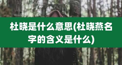 杜晓是什么意思(杜晓燕名字的含义是什么)