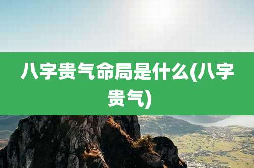八字贵气命局是什么(八字 贵气)