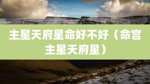 主星天府星命好不好(命宫主星天府星)